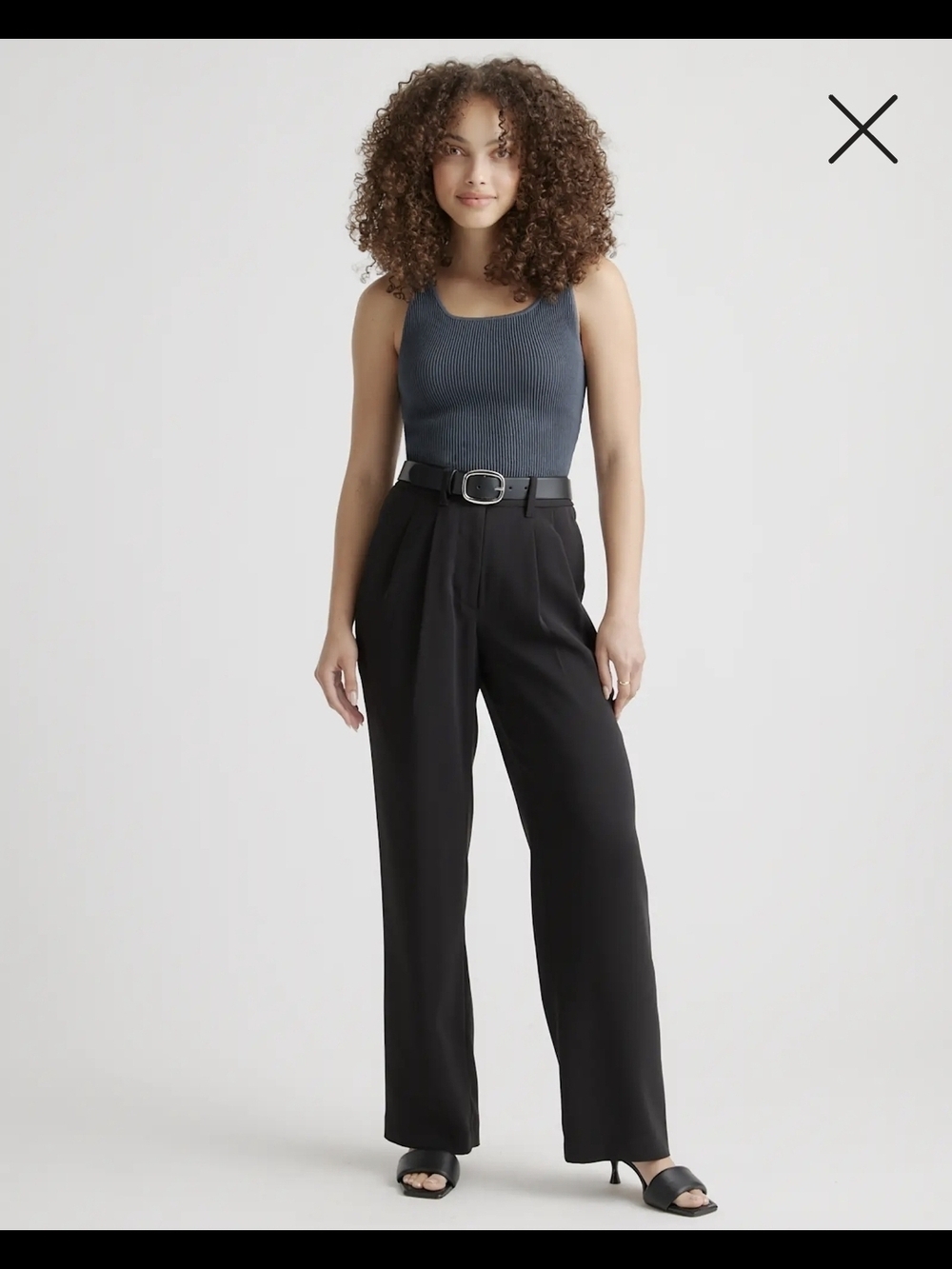 Quince Black Wide-Leg Pleated Trousers Size 4 In Excellent Condition